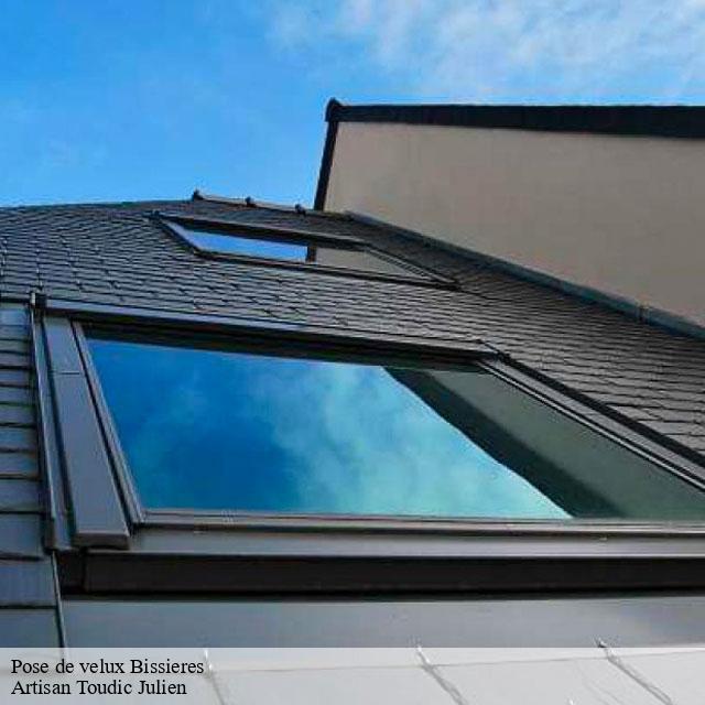 Pose de velux  bissieres-14370 Artisan Toudic Julien