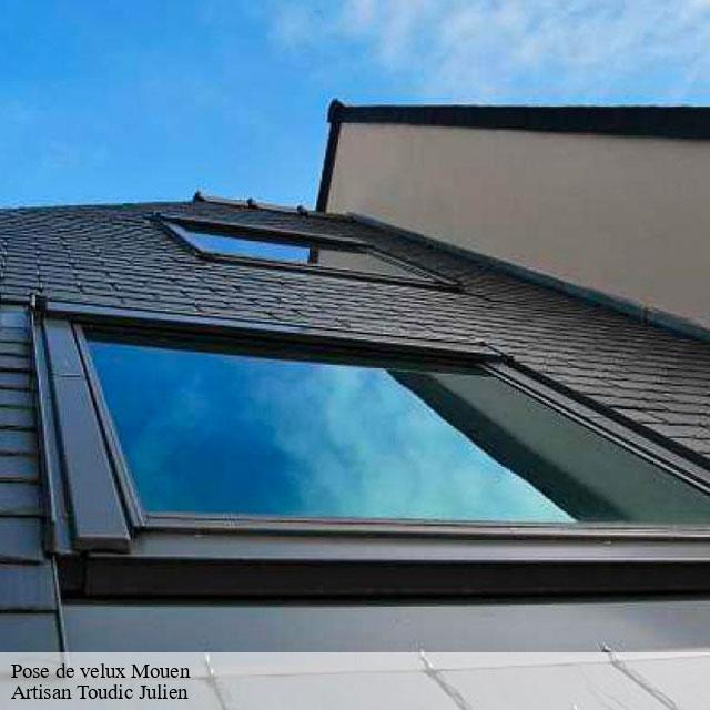 Pose de velux  mouen-14790 Artisan Toudic Julien