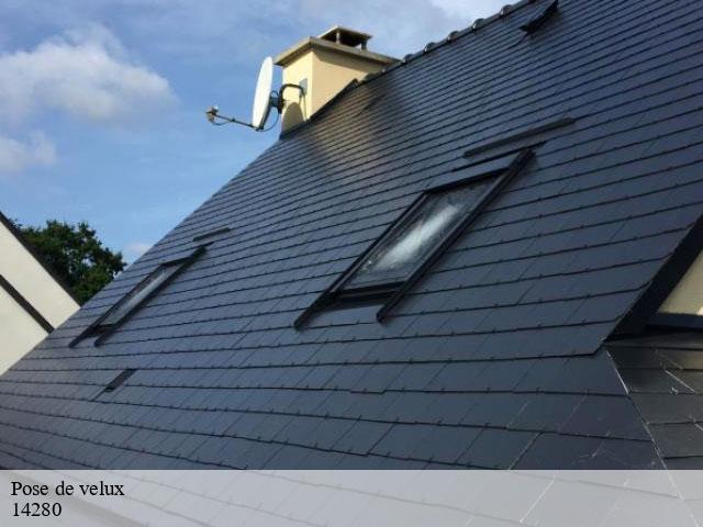 Pose de velux  14280